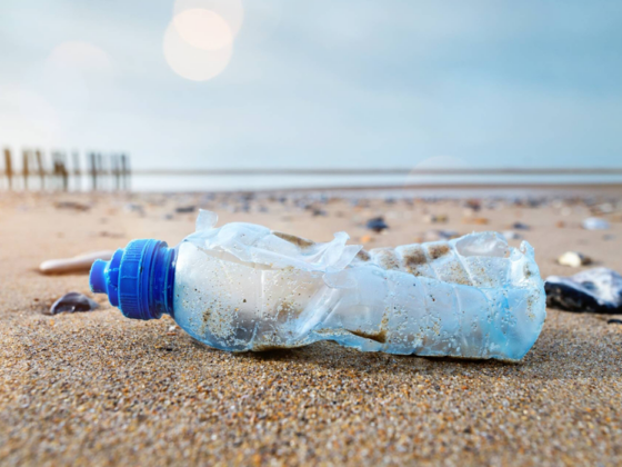 Growing Concern of Plastic Waste
