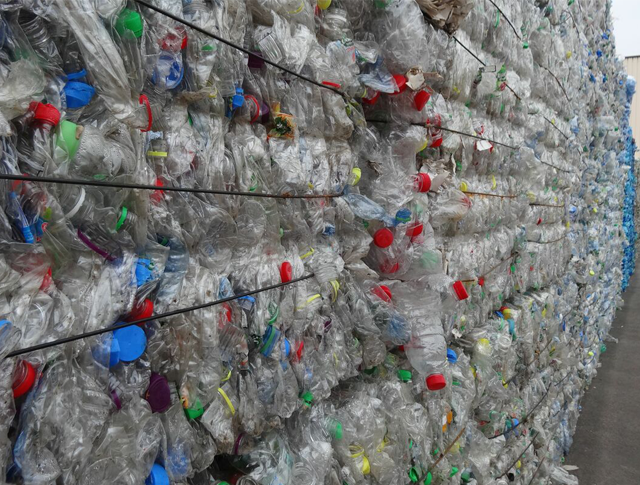 Plastic Collection